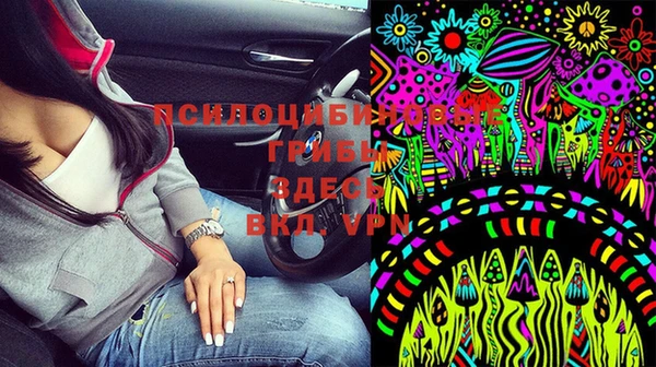 молекула духа Алзамай