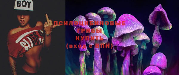 ECSTASY Алексеевка