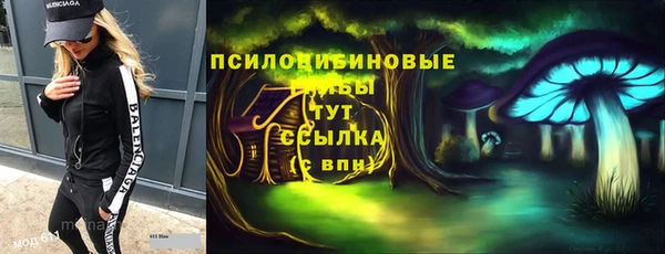 не бодяженный Алексин